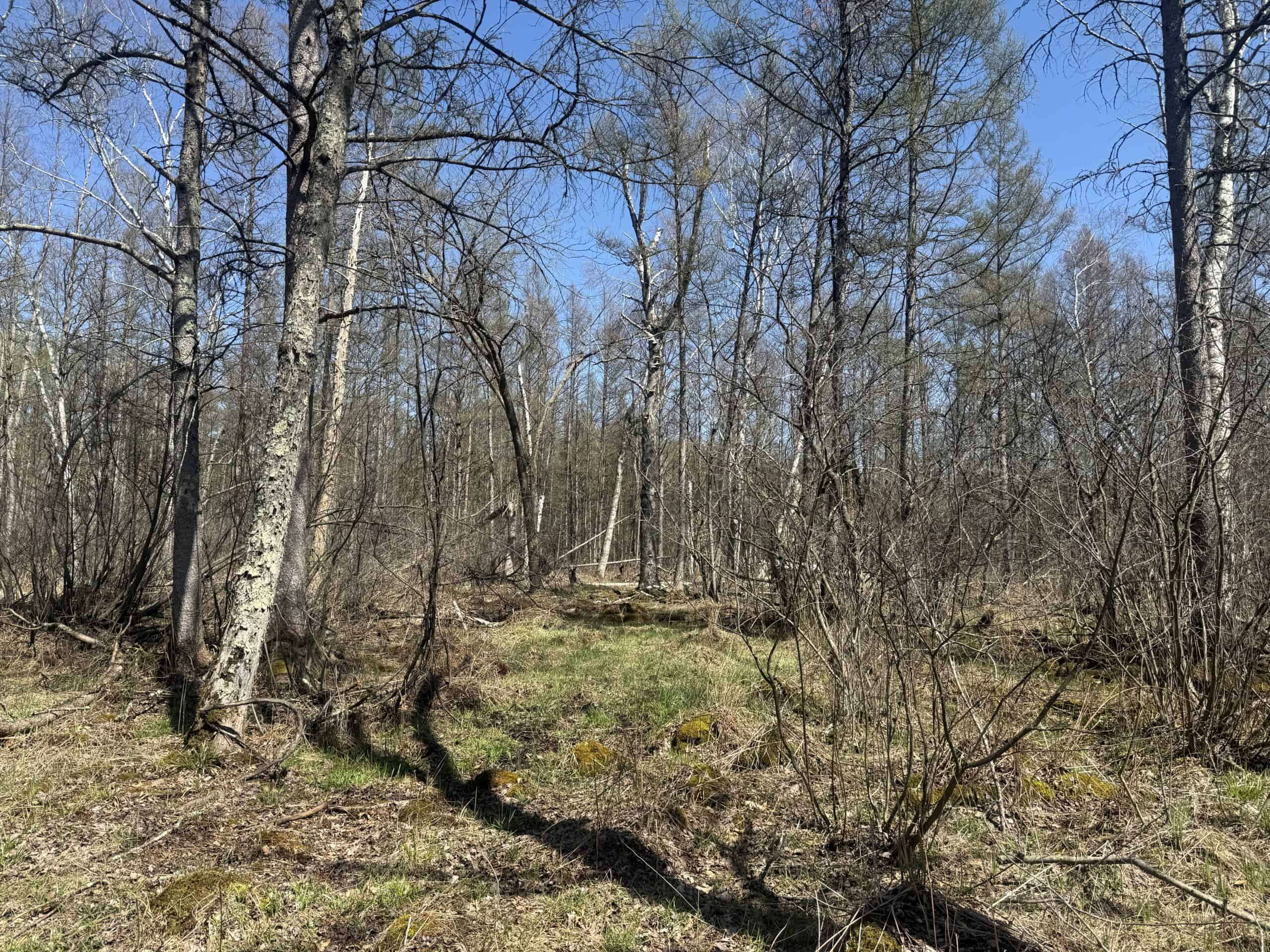 88 Acre Marquette County  WI Hunting Property For Sale