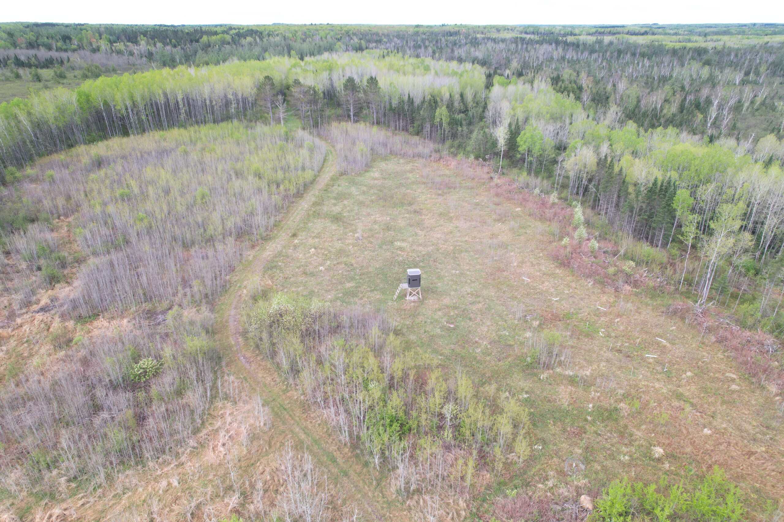 120 ± Acres with New Cabin located in Butternut, WI