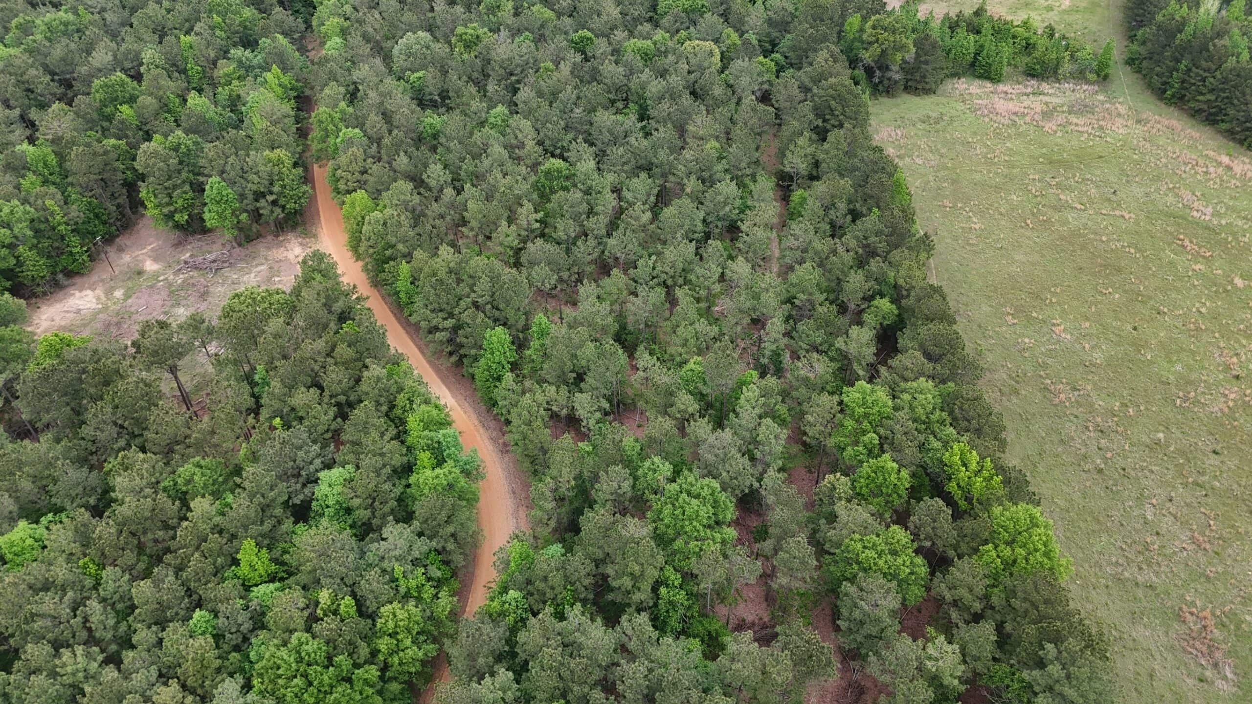 LA Recreation & Timber Property Joining Saline Lake