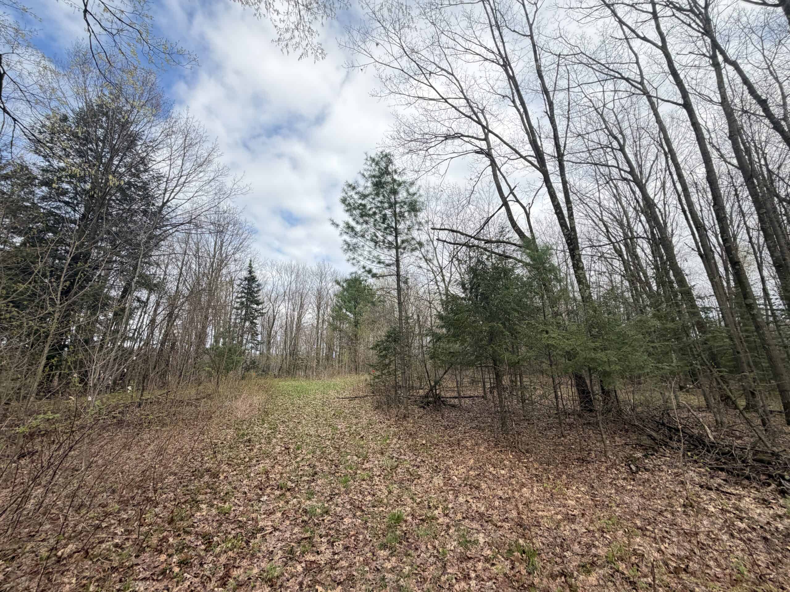 120 acres located in the Town of Dewey, Portage County, WI