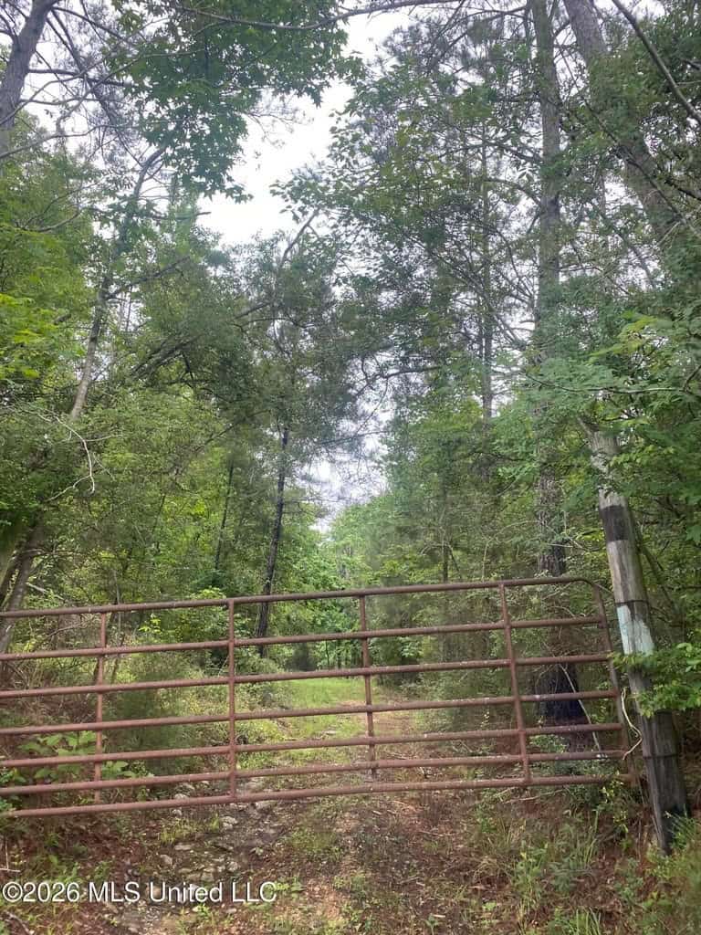 Hunting and Recreational Land for Sale in Amite County, Miss