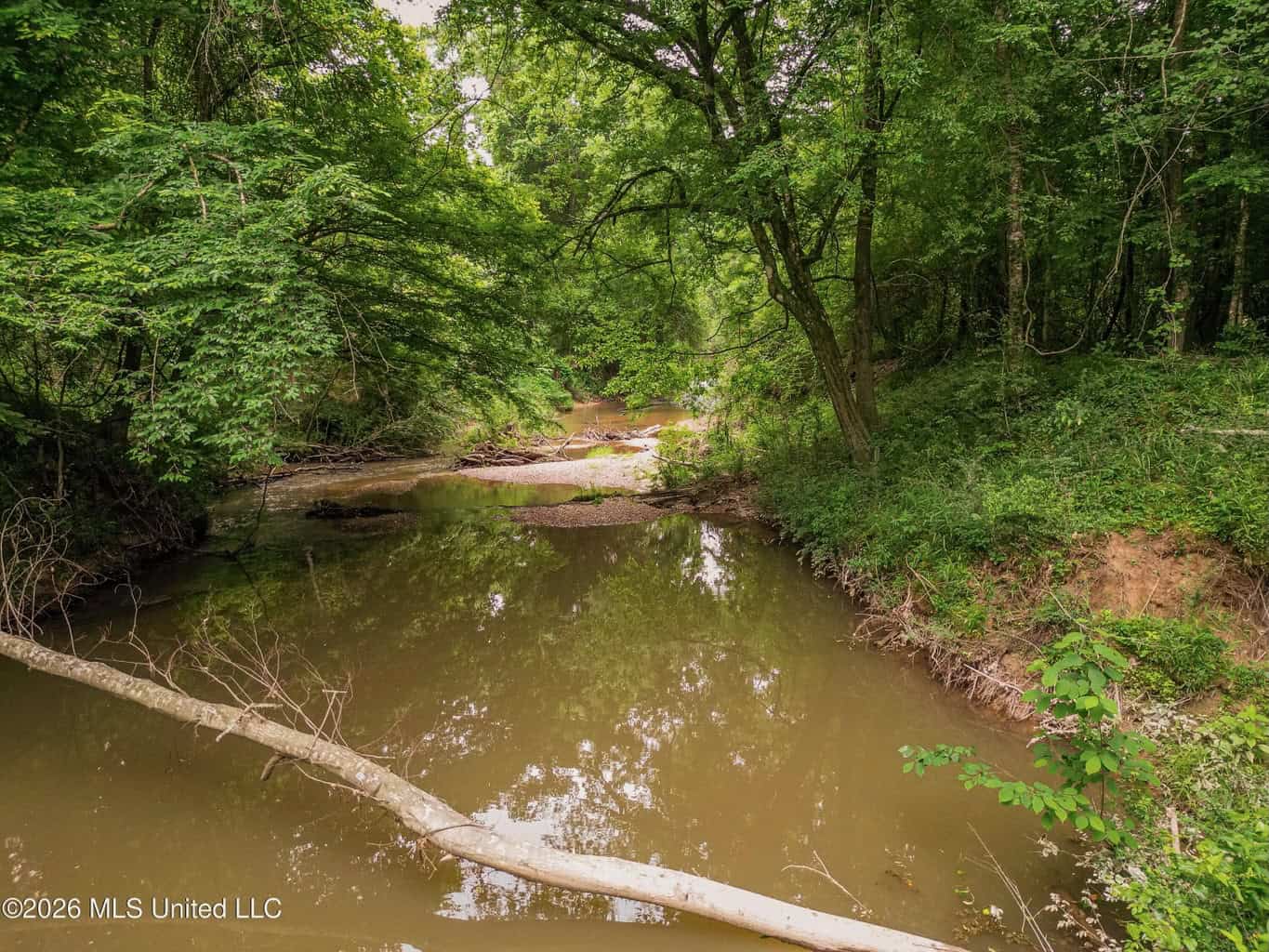 Land for Sale in Amite County, MS