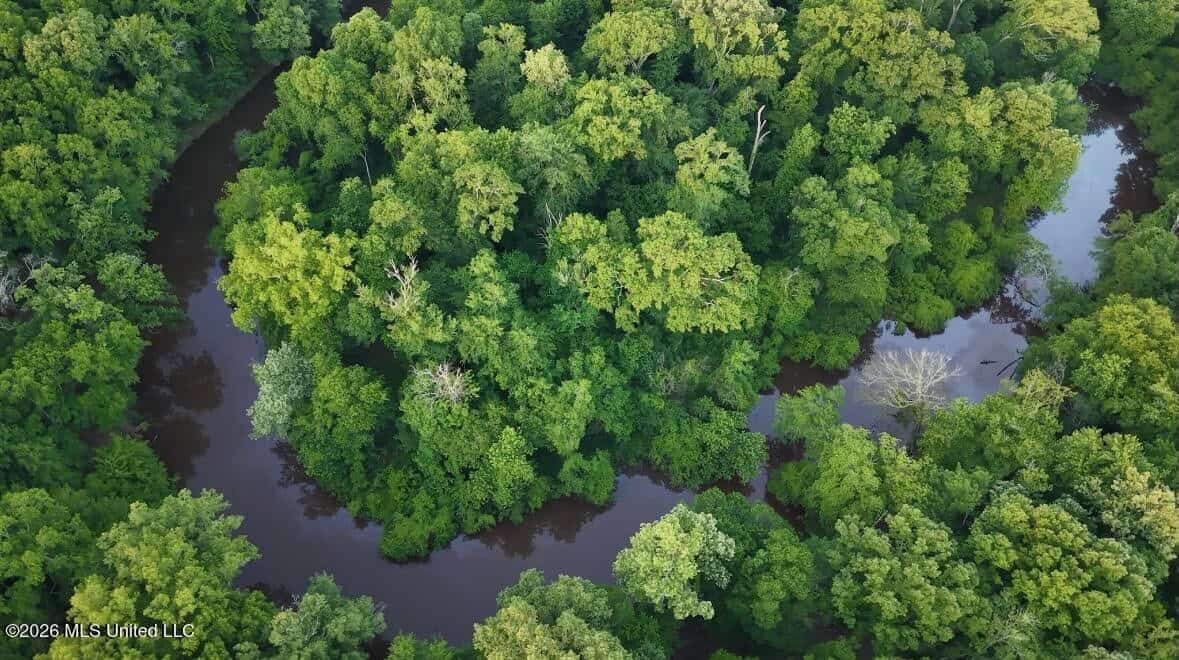 Booger Bottom Plantation 635 Surveyed Acres Attala Co MS