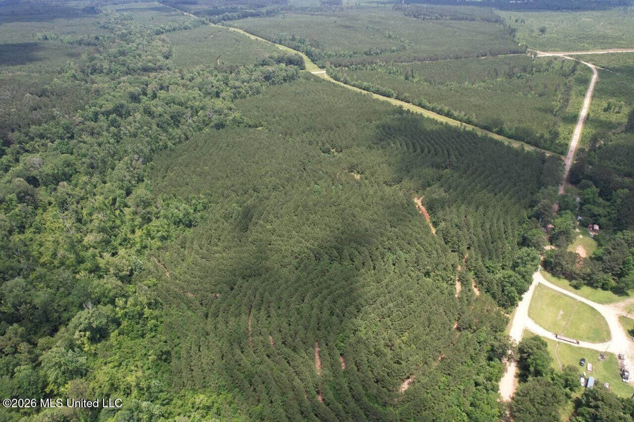 56 Acres in St. Helena Parish with Black Creek