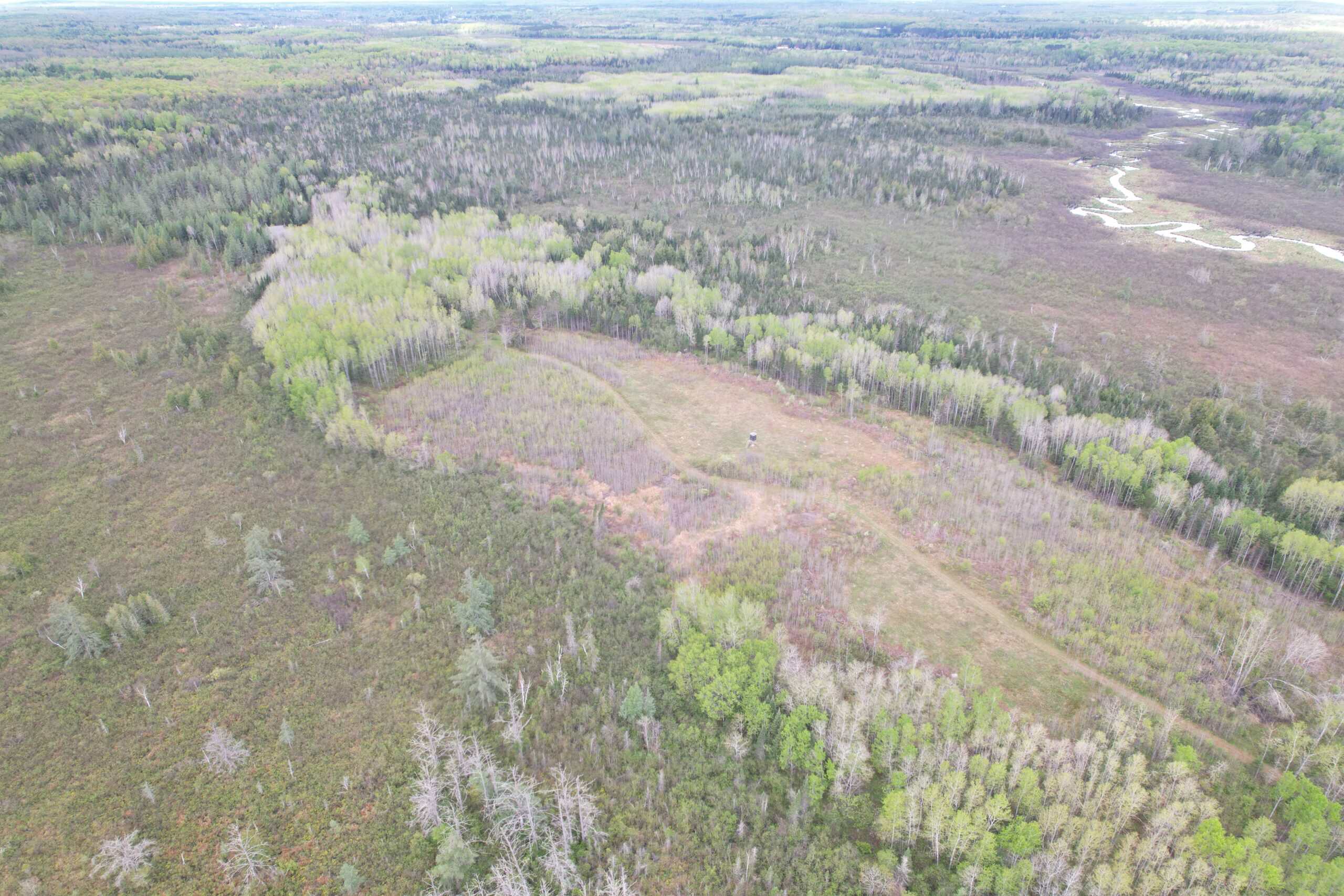 120 ± Acres with New Cabin located in Butternut, WI