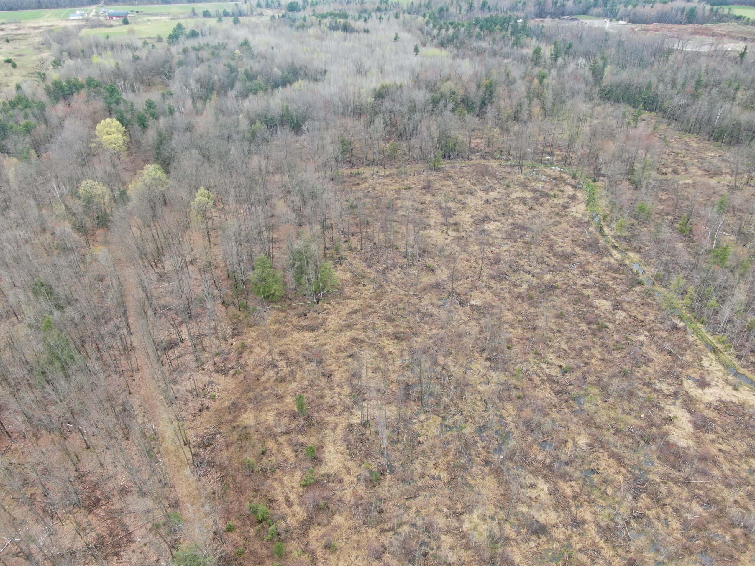 120 acres located in the Town of Dewey, Portage County, WI