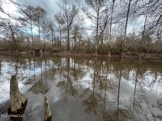 470 Acres on Calcasieu River in Allen Parish, LA