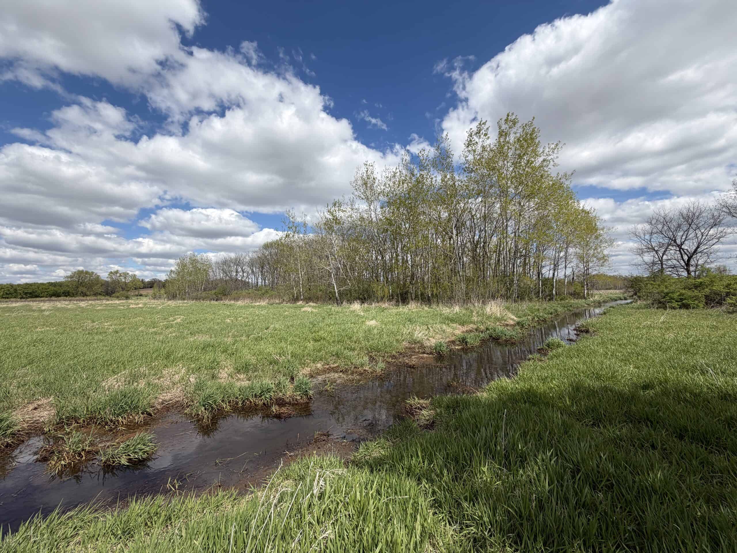 74 Acres in Dane County Town of York Rec, Hunting and Build Site for Sale