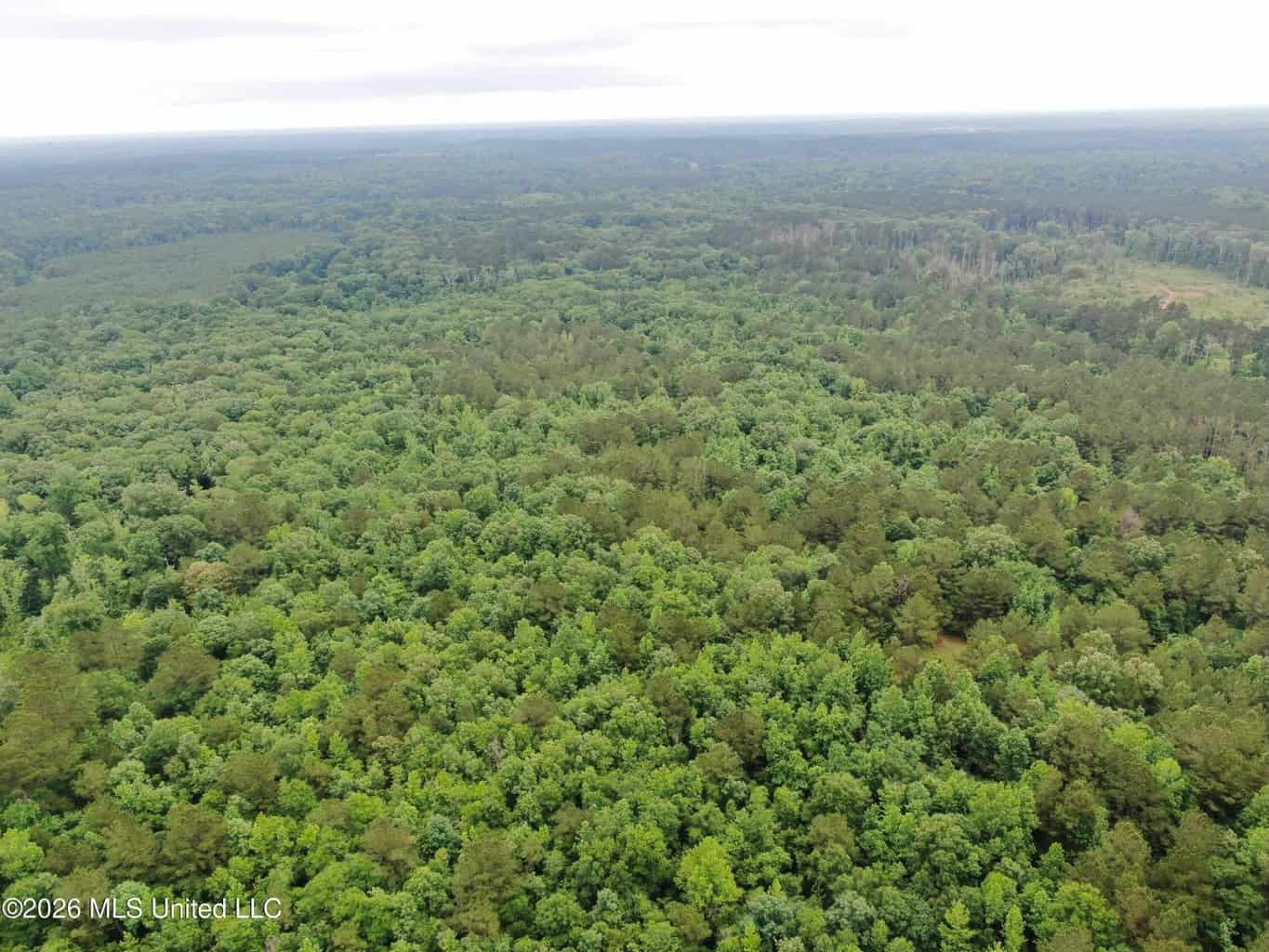 Hunting and Recreational Land for Sale in Amite County, Miss
