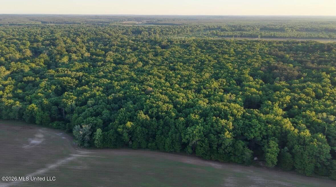 Booger Bottom Plantation 635 Surveyed Acres Attala Co MS