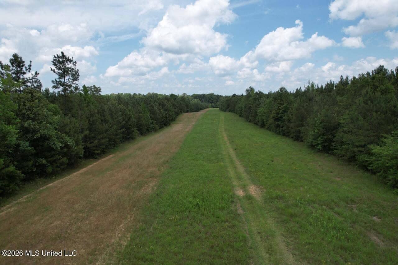 56 Acres in St. Helena Parish with Black Creek
