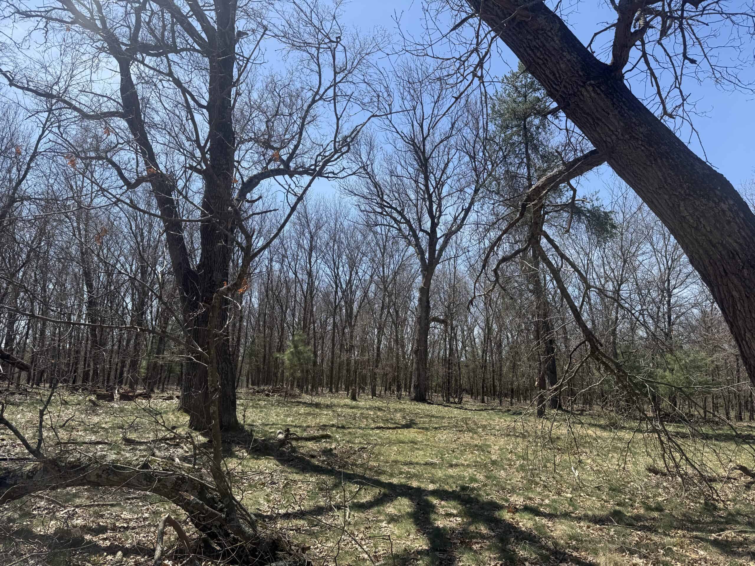 88 Acre Marquette County  WI Hunting Property For Sale