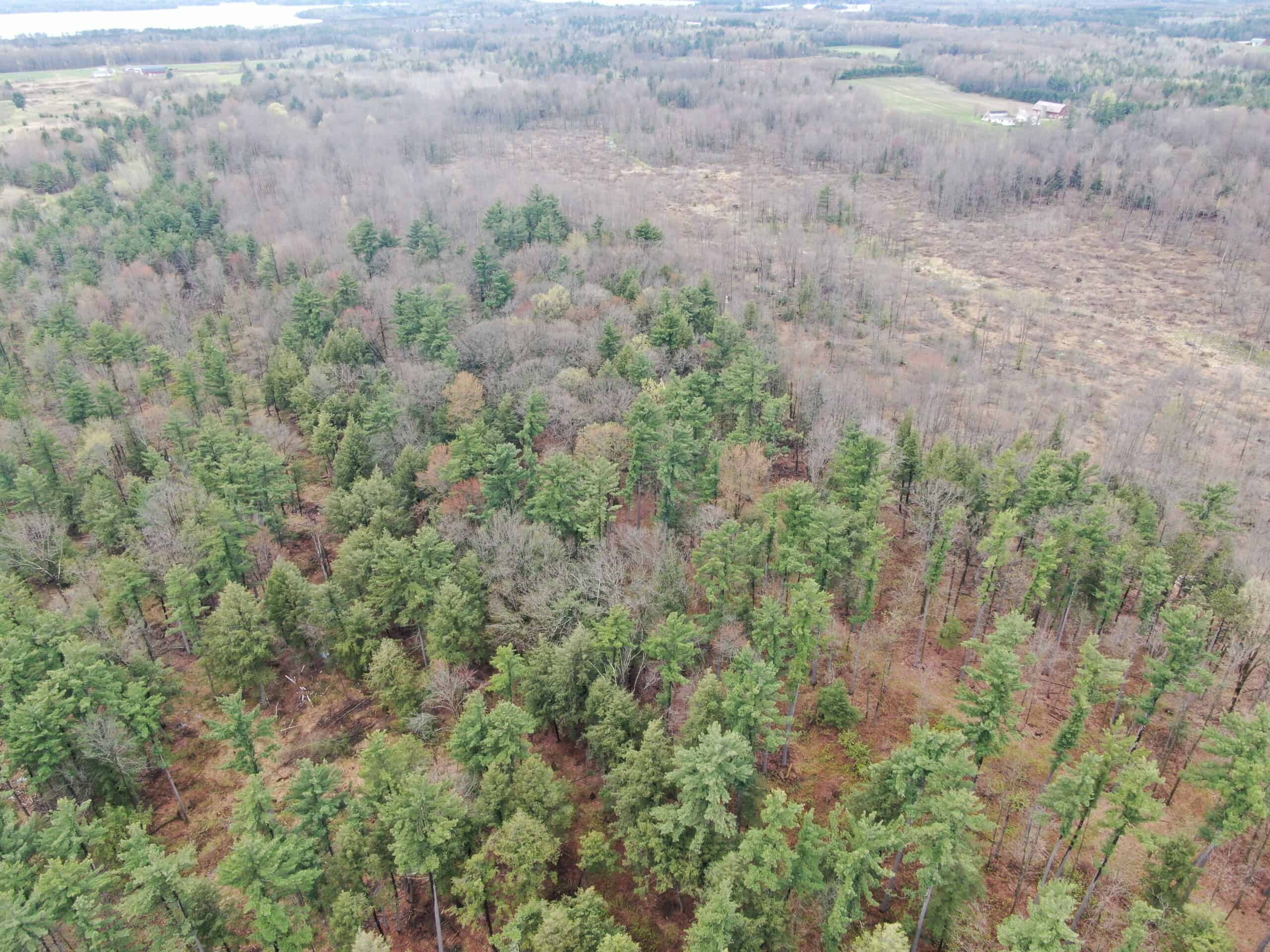 120 acres located in the Town of Dewey, Portage County, WI