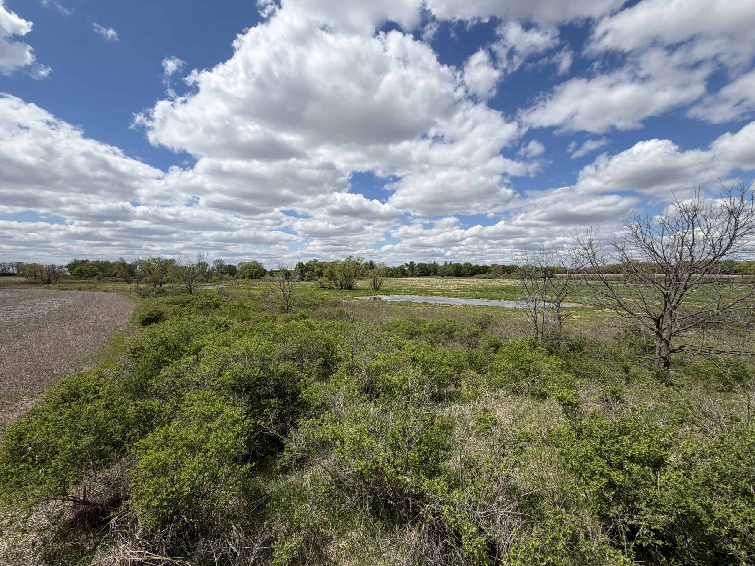 74 Acres in Dane County Town of York Rec, Hunting and Build Site for Sale