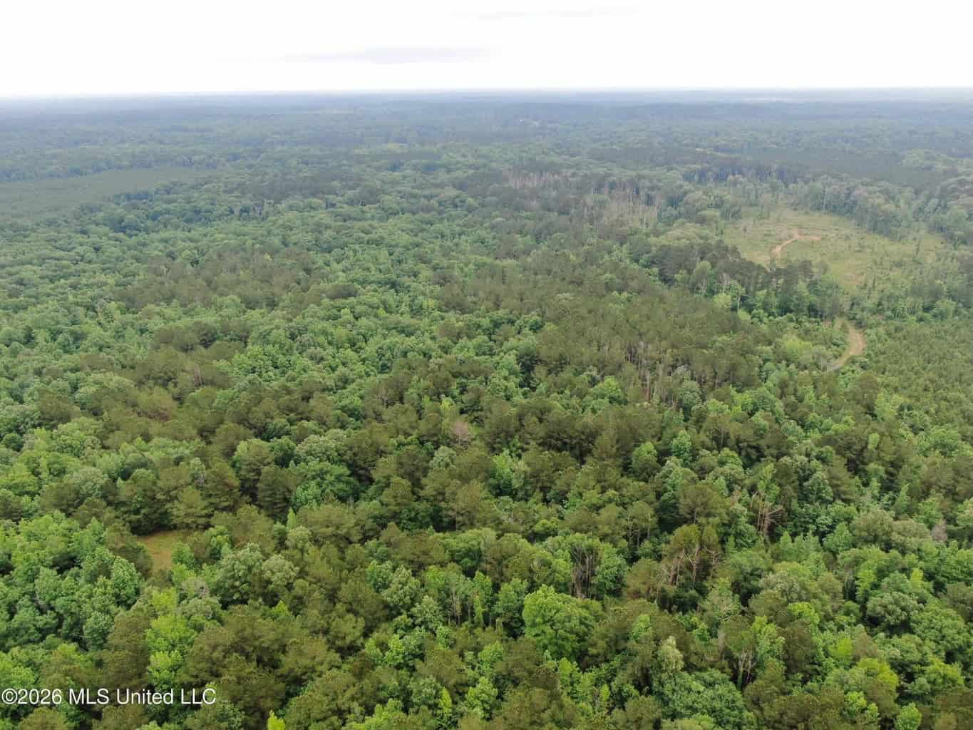 Hunting and Recreational Land for Sale in Amite County, Miss