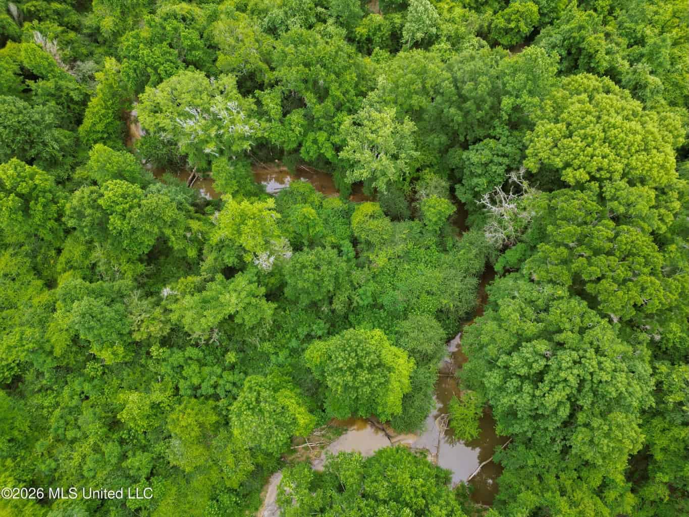 Land for Sale in Amite County, MS