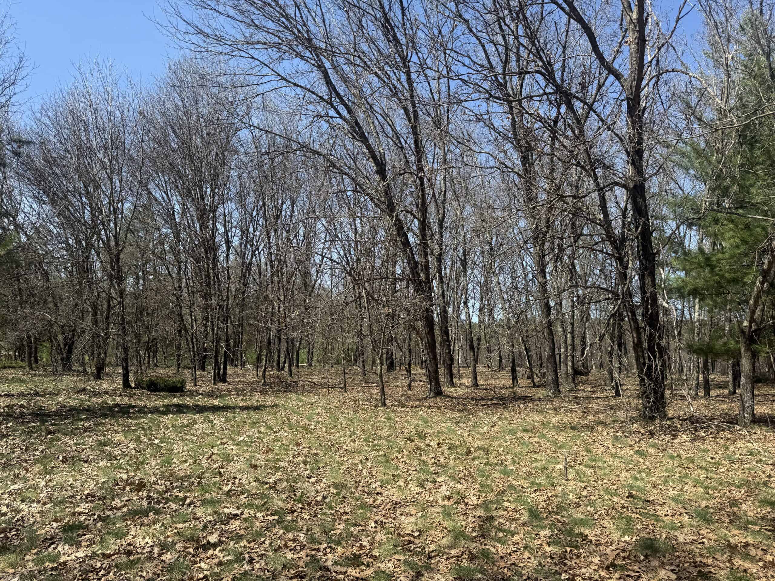 88 Acre Marquette County  WI Hunting Property For Sale