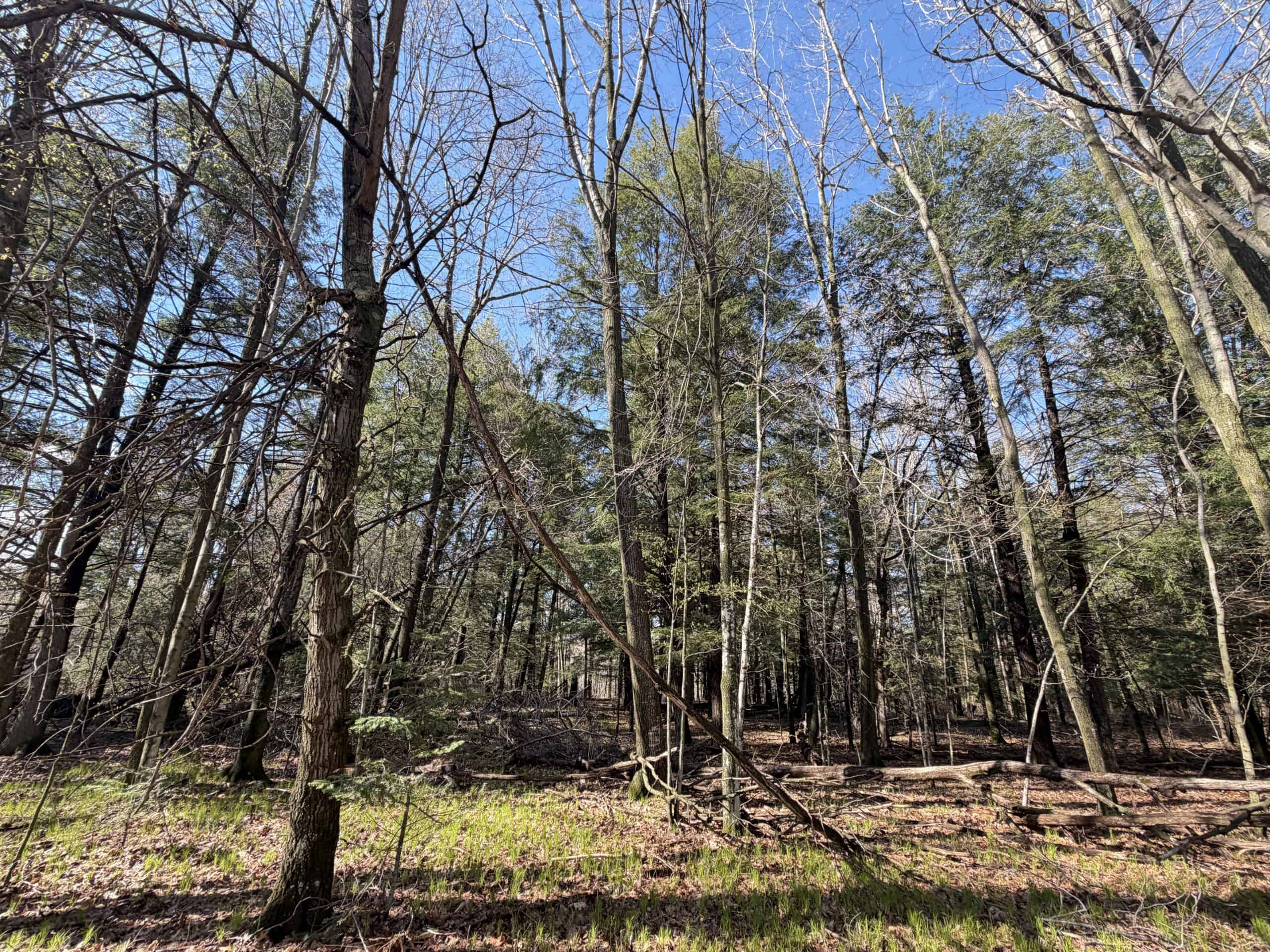 Portage County 40 Acre Hunting and Rec Property for Sale
