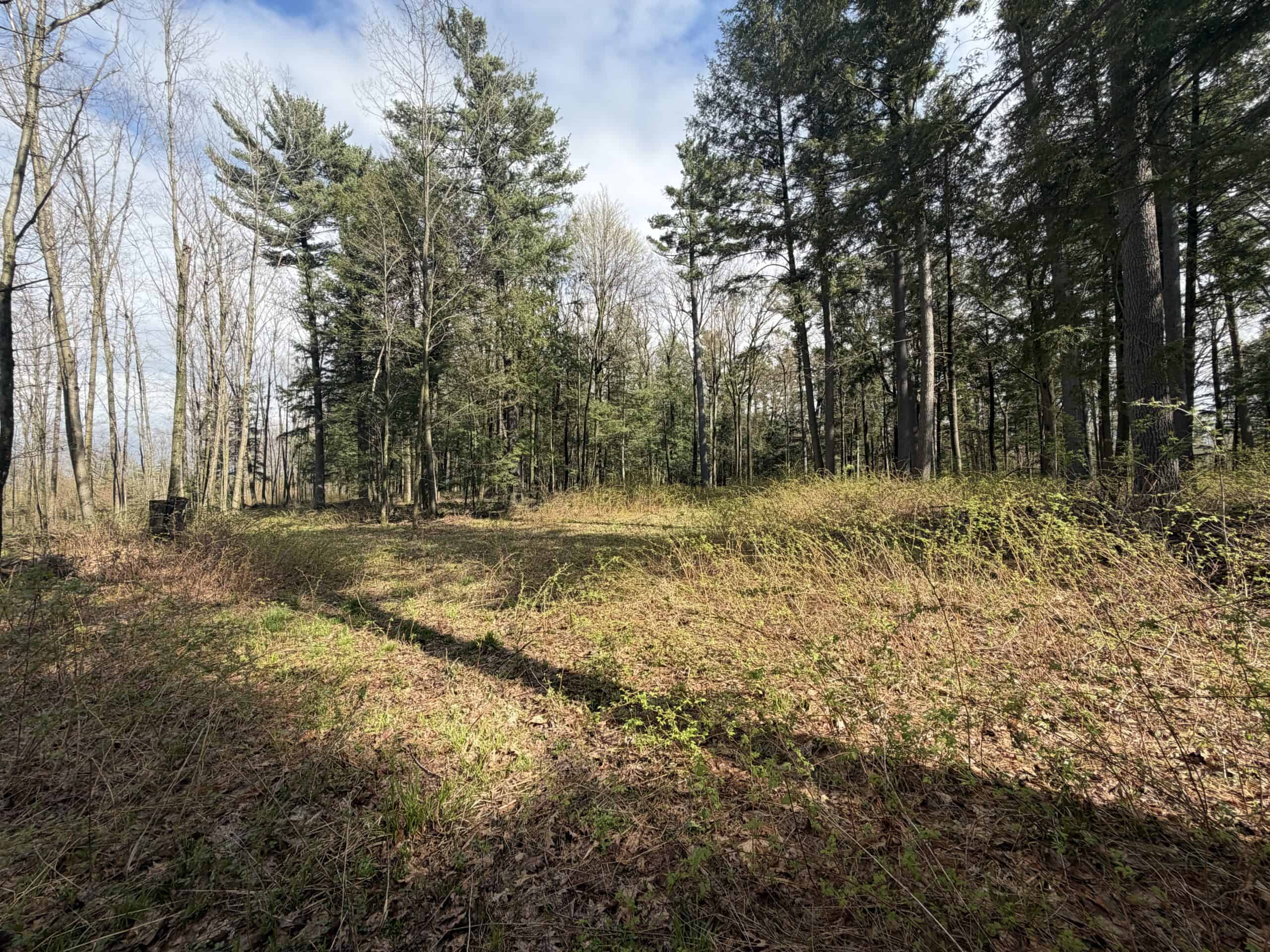 120 acres located in the Town of Dewey, Portage County, WI