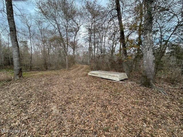 470 Acres on Calcasieu River in Allen Parish, LA