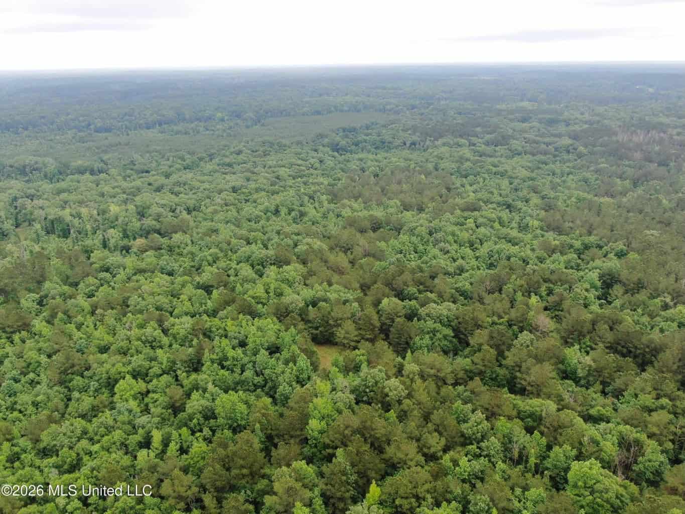 Hunting and Recreational Land for Sale in Amite County, Miss