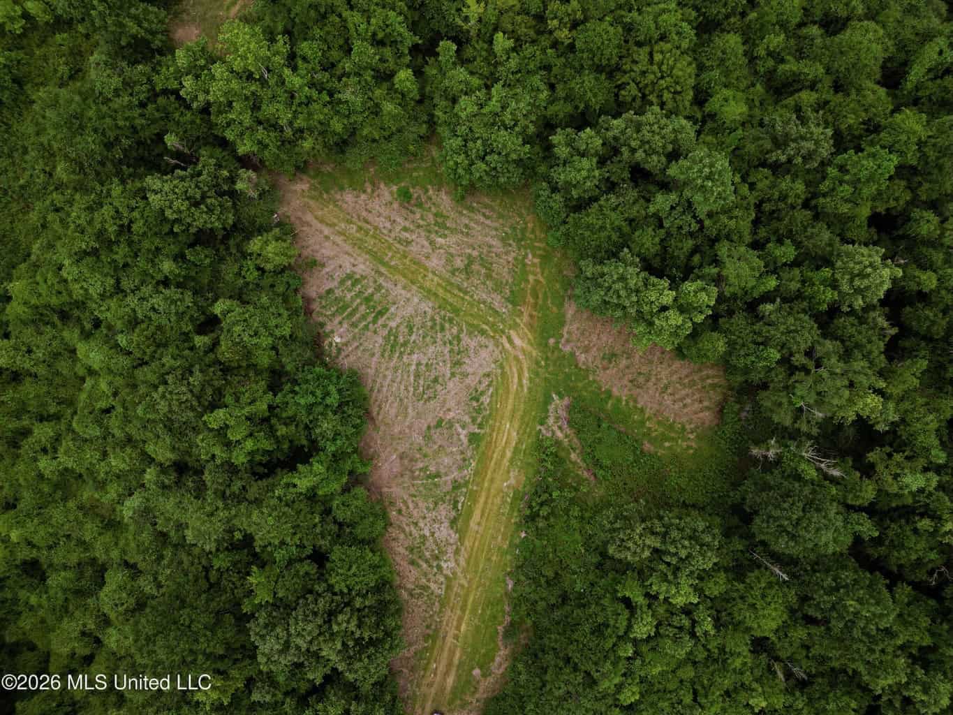 Land for Sale in Amite County, MS