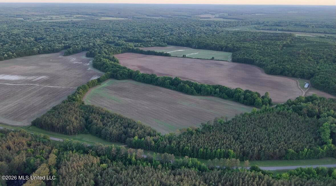 Booger Bottom Plantation 635 Surveyed Acres Attala Co MS