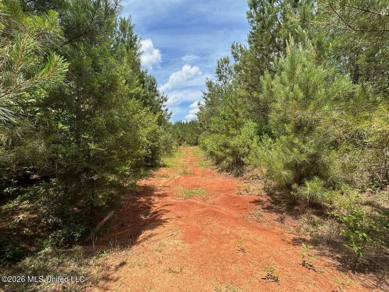56 Acres in St. Helena Parish with Black Creek