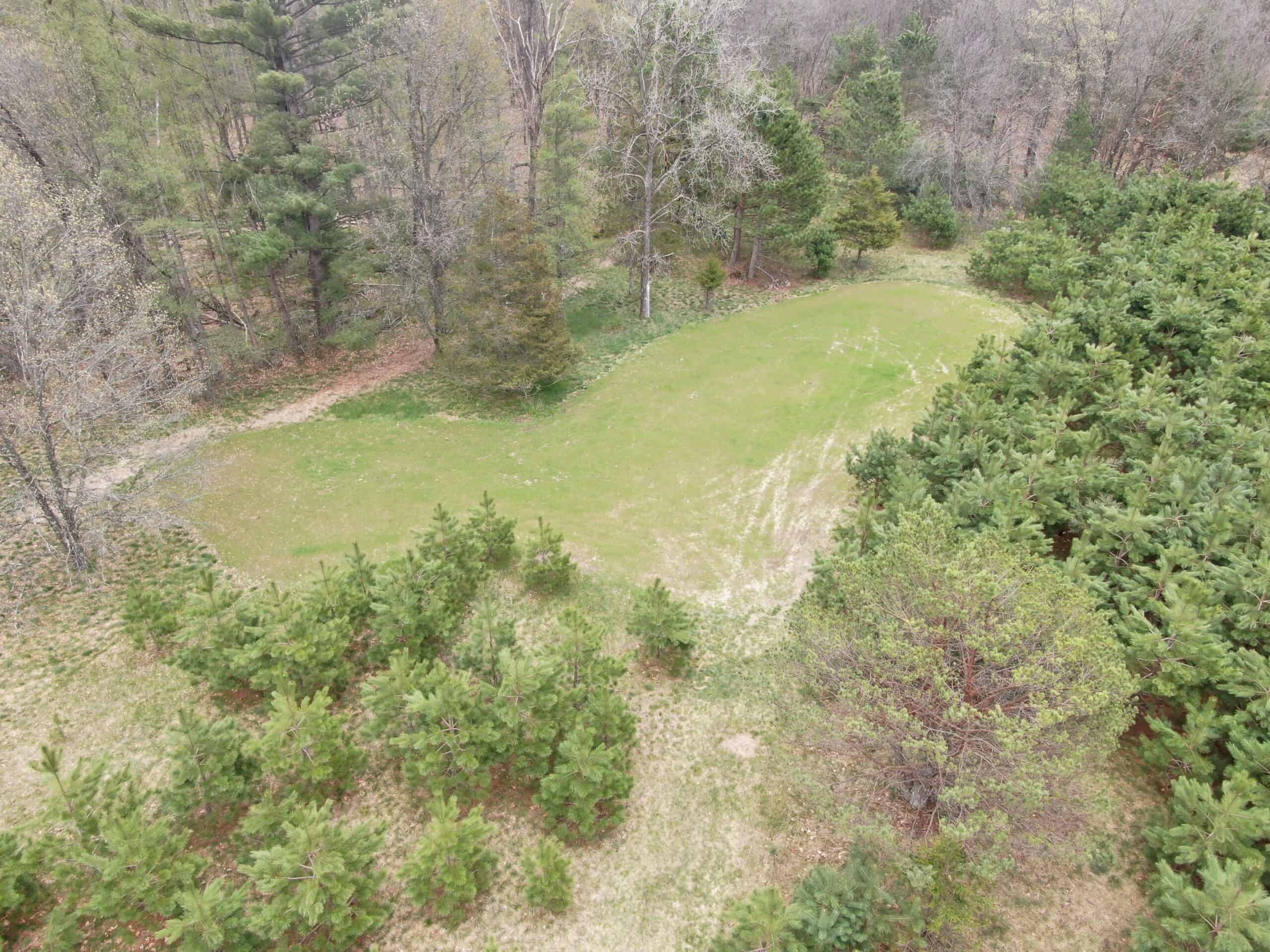 88 Acre Marquette County  WI Hunting Property For Sale