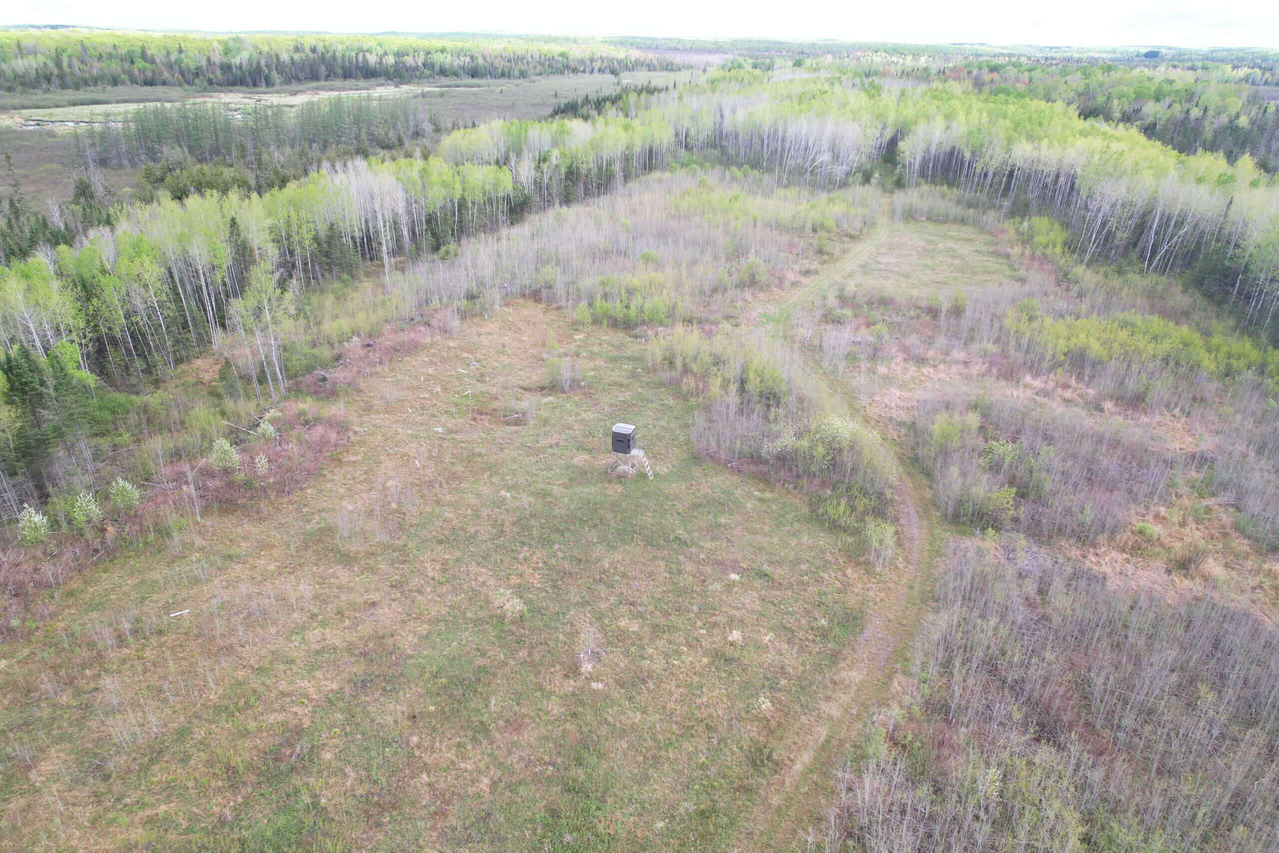 120 ± Acres with New Cabin located in Butternut, WI