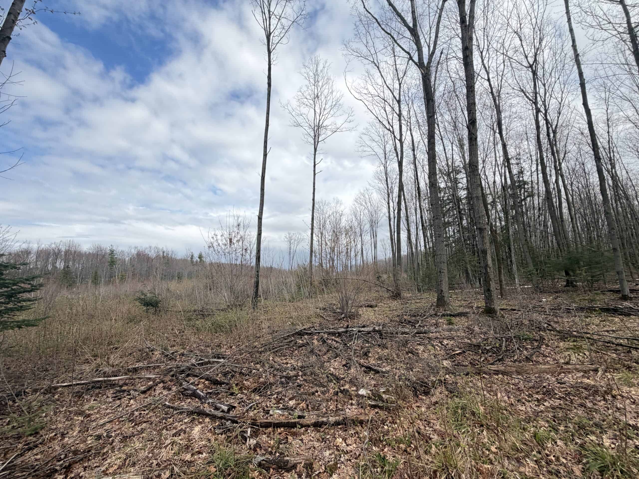120 acres located in the Town of Dewey, Portage County, WI