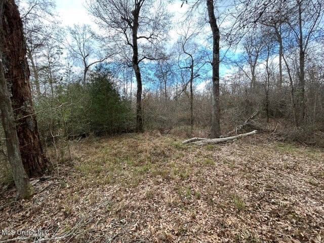 470 Acres on Calcasieu River in Allen Parish, LA