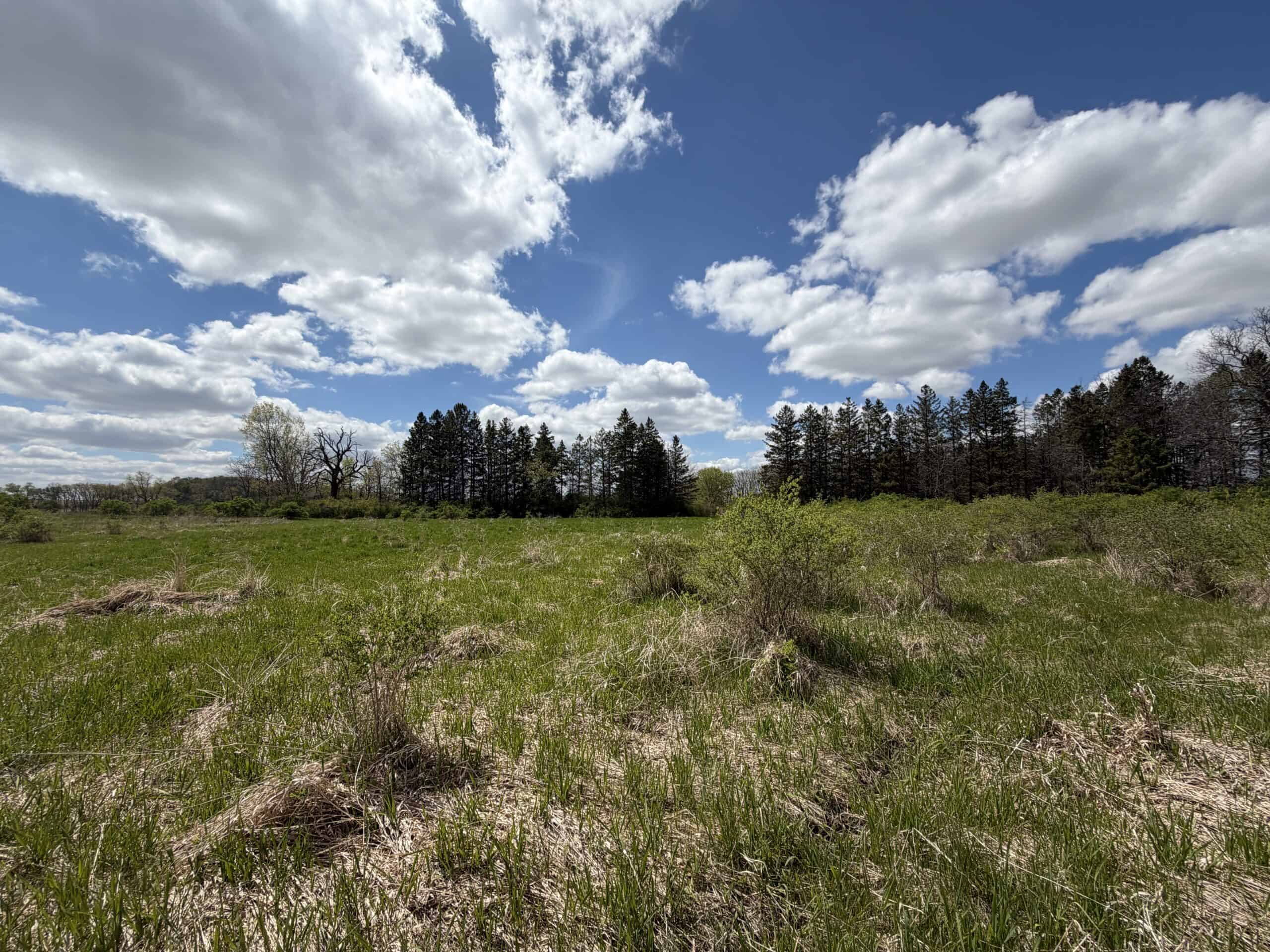 74 Acres in Dane County Town of York Rec, Hunting and Build Site for Sale