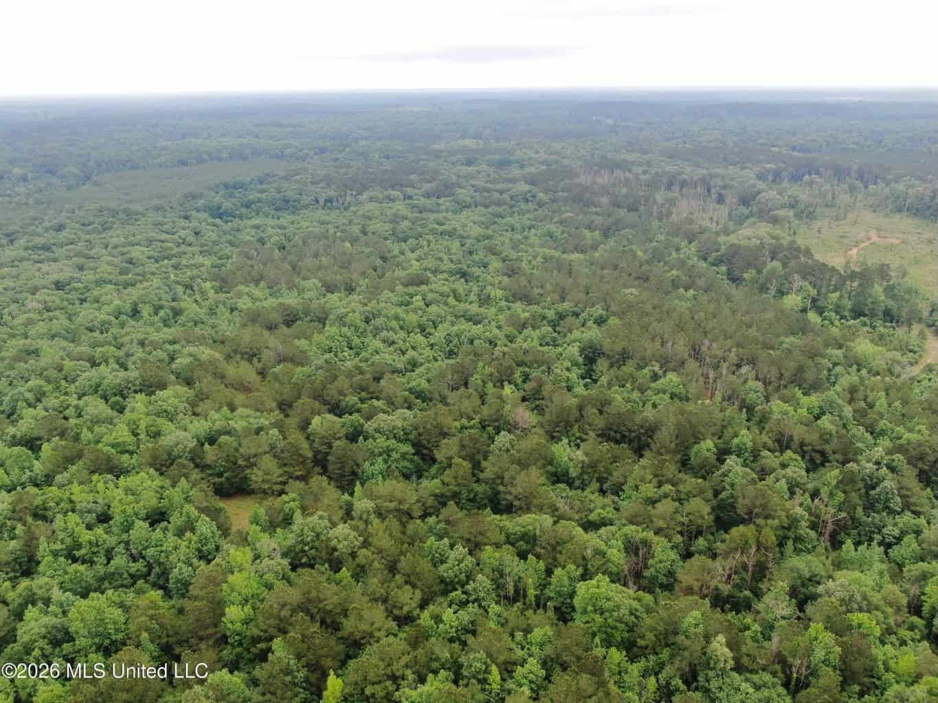 Hunting and Recreational Land for Sale in Amite County, Miss