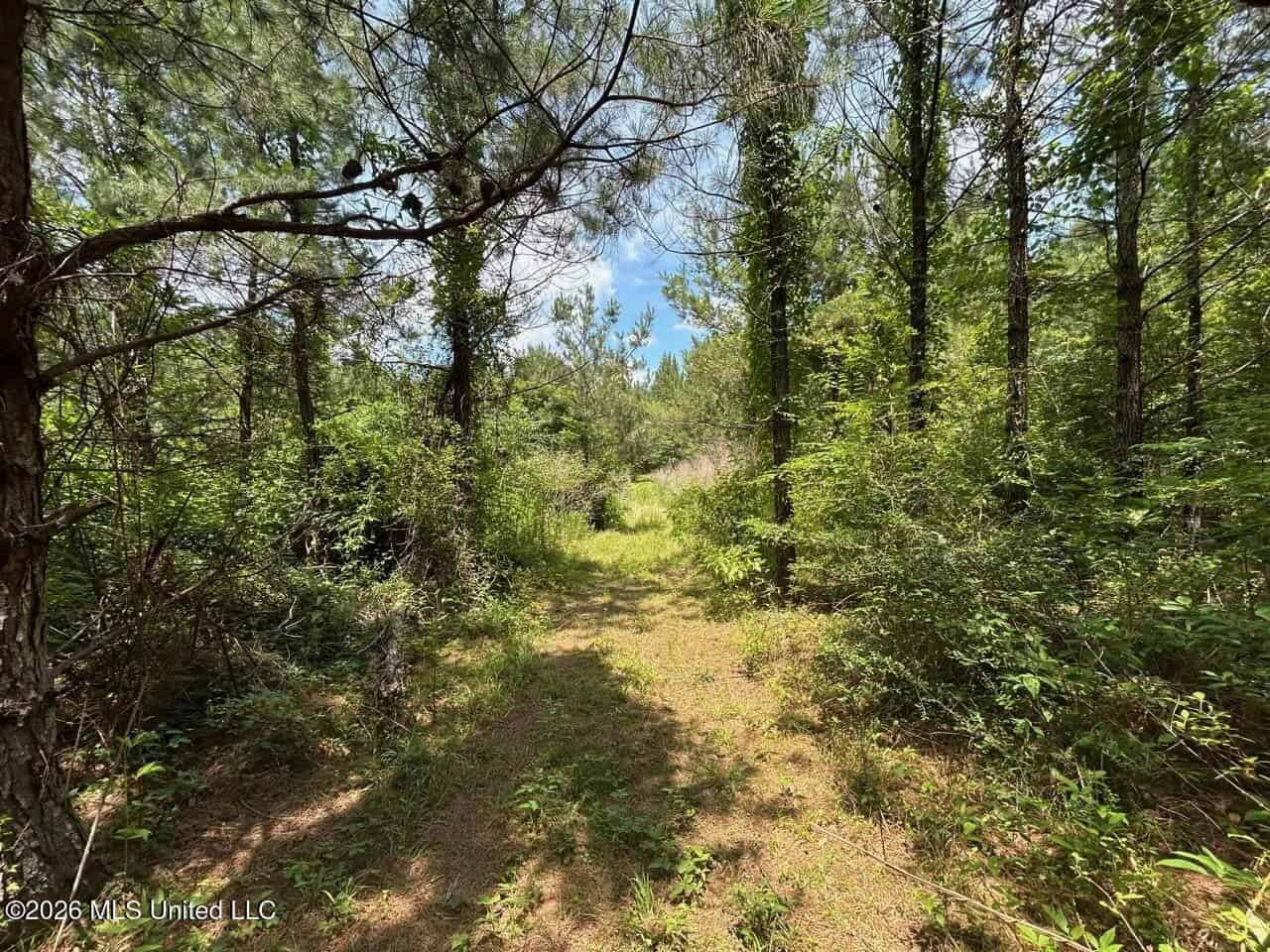 56 Acres in St. Helena Parish with Black Creek