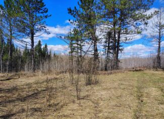 120 ± Acres with New Cabin located in Butternut, WI