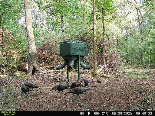 Hunting land with a Camp on Saline Lake Winn Parish LA