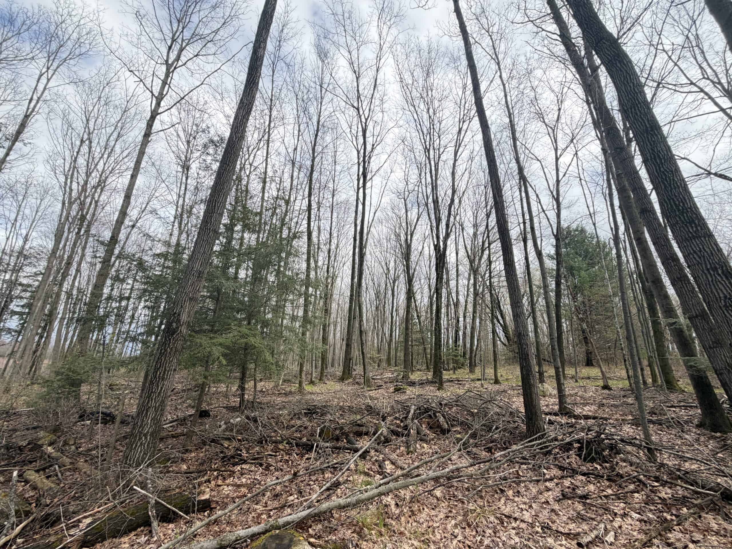 120 acres located in the Town of Dewey, Portage County, WI