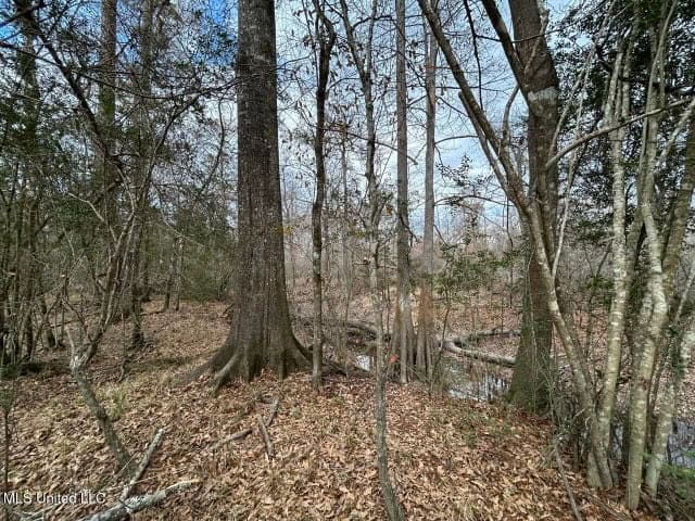 470 Acres on Calcasieu River in Allen Parish, LA