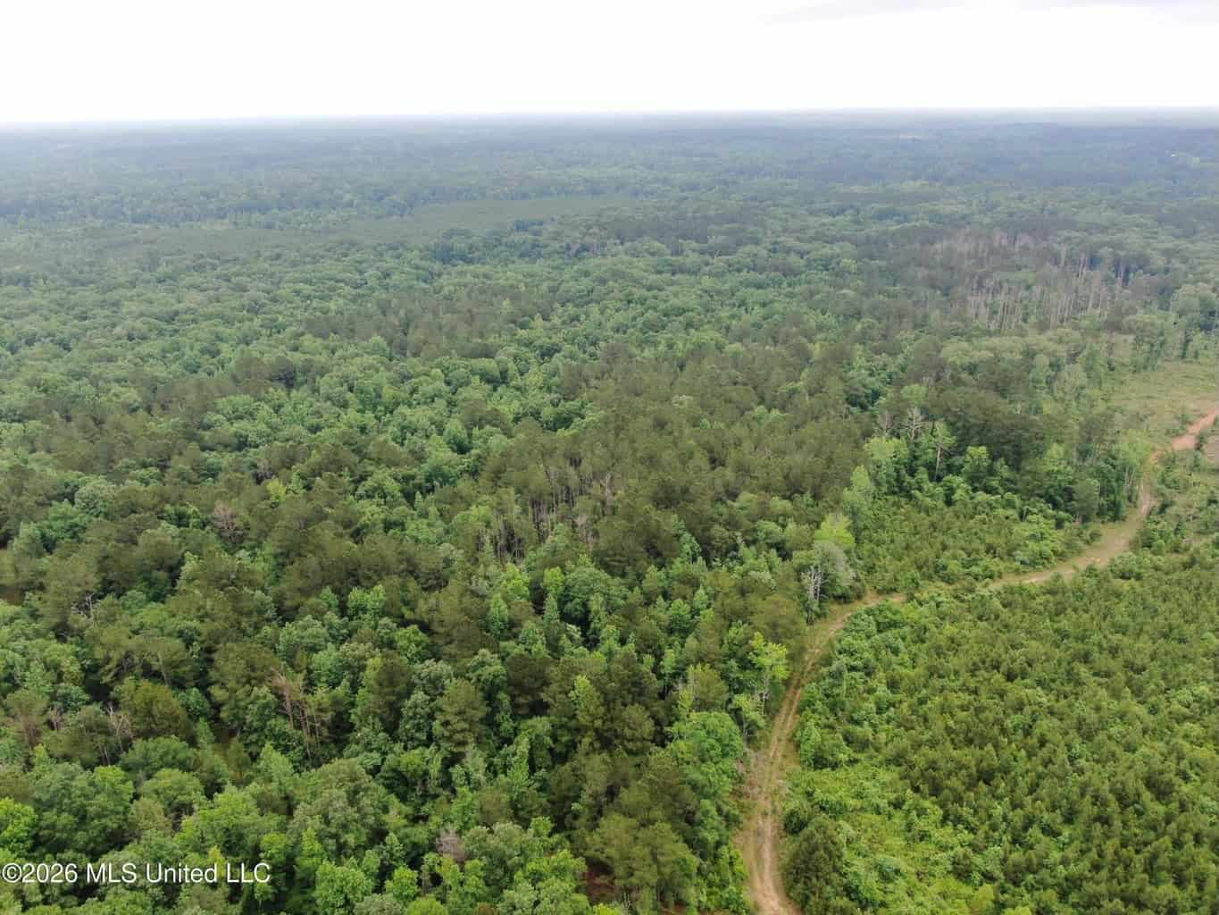 Hunting and Recreational Land for Sale in Amite County, Miss
