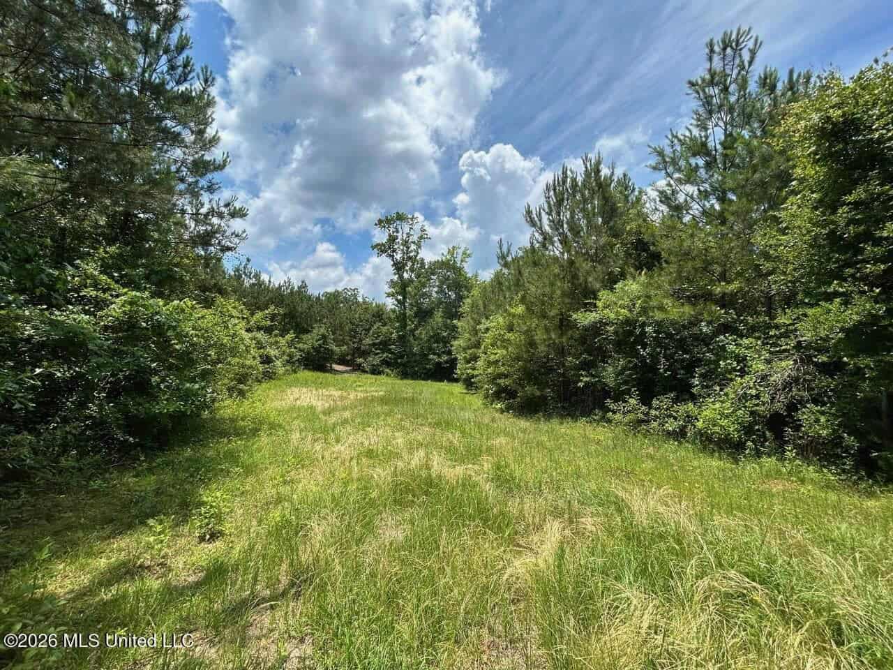 56 Acres in St. Helena Parish with Black Creek