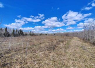 120 ± Acres with New Cabin located in Butternut, WI