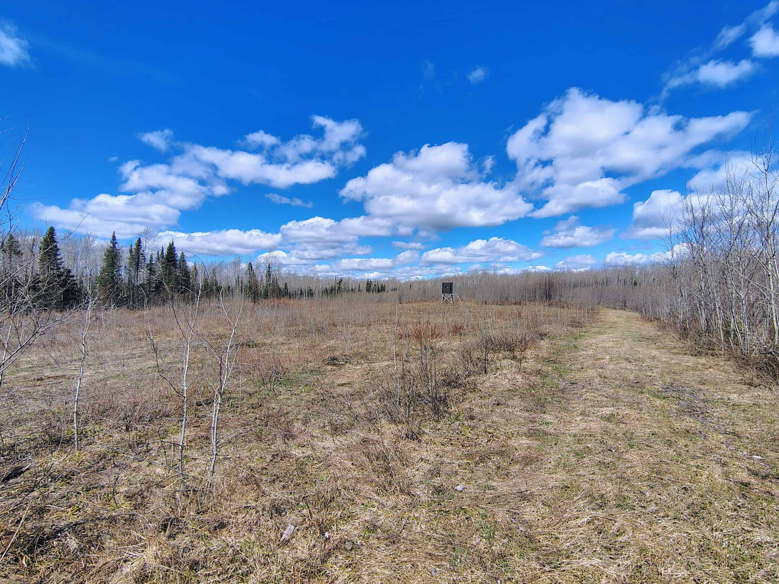 120 ± Acres with New Cabin located in Butternut, WI