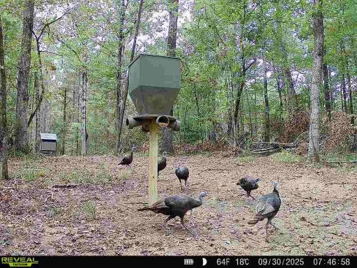 Hunting land with a Camp on Saline Lake Winn Parish LA