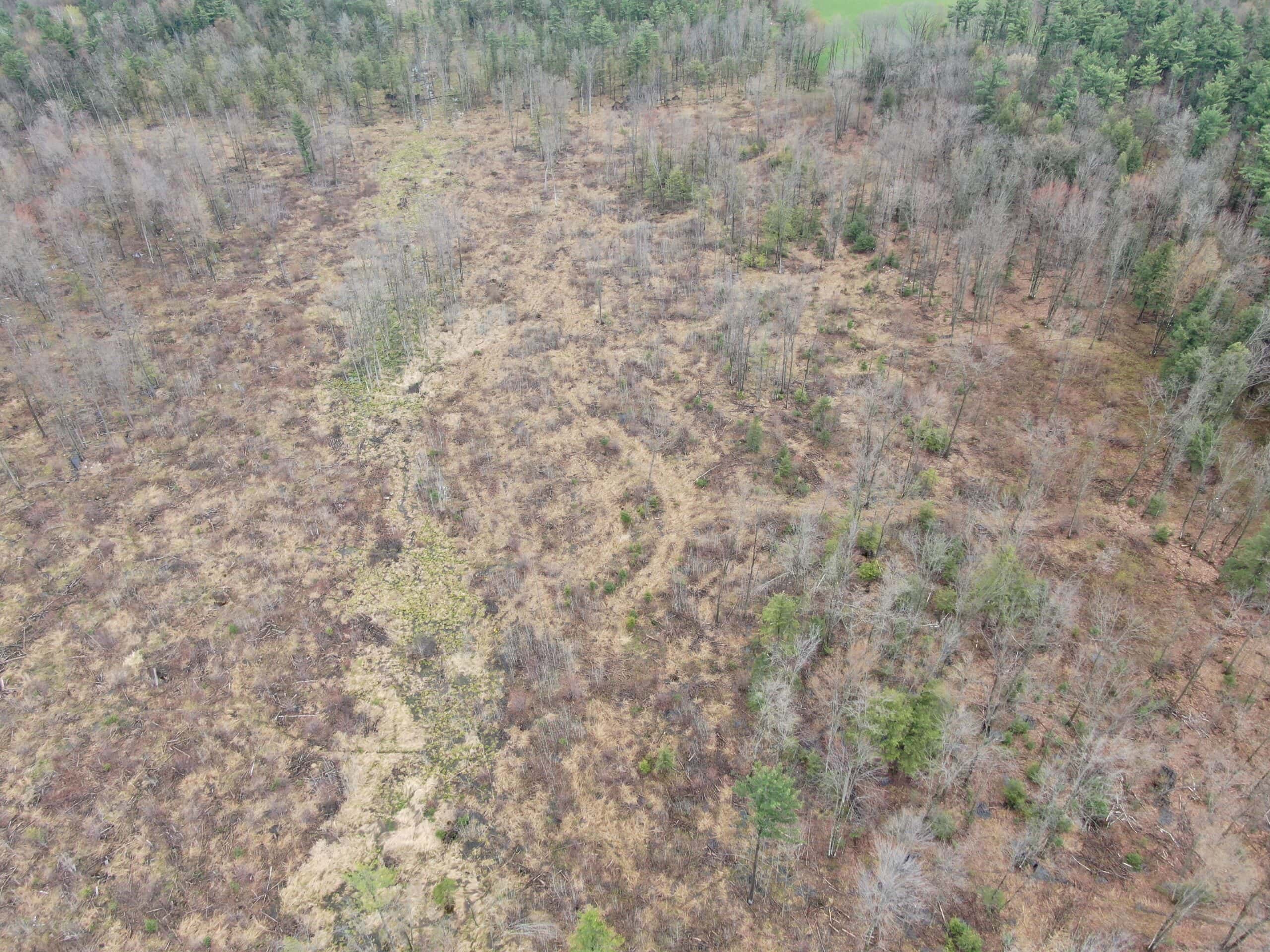 120 acres located in the Town of Dewey, Portage County, WI