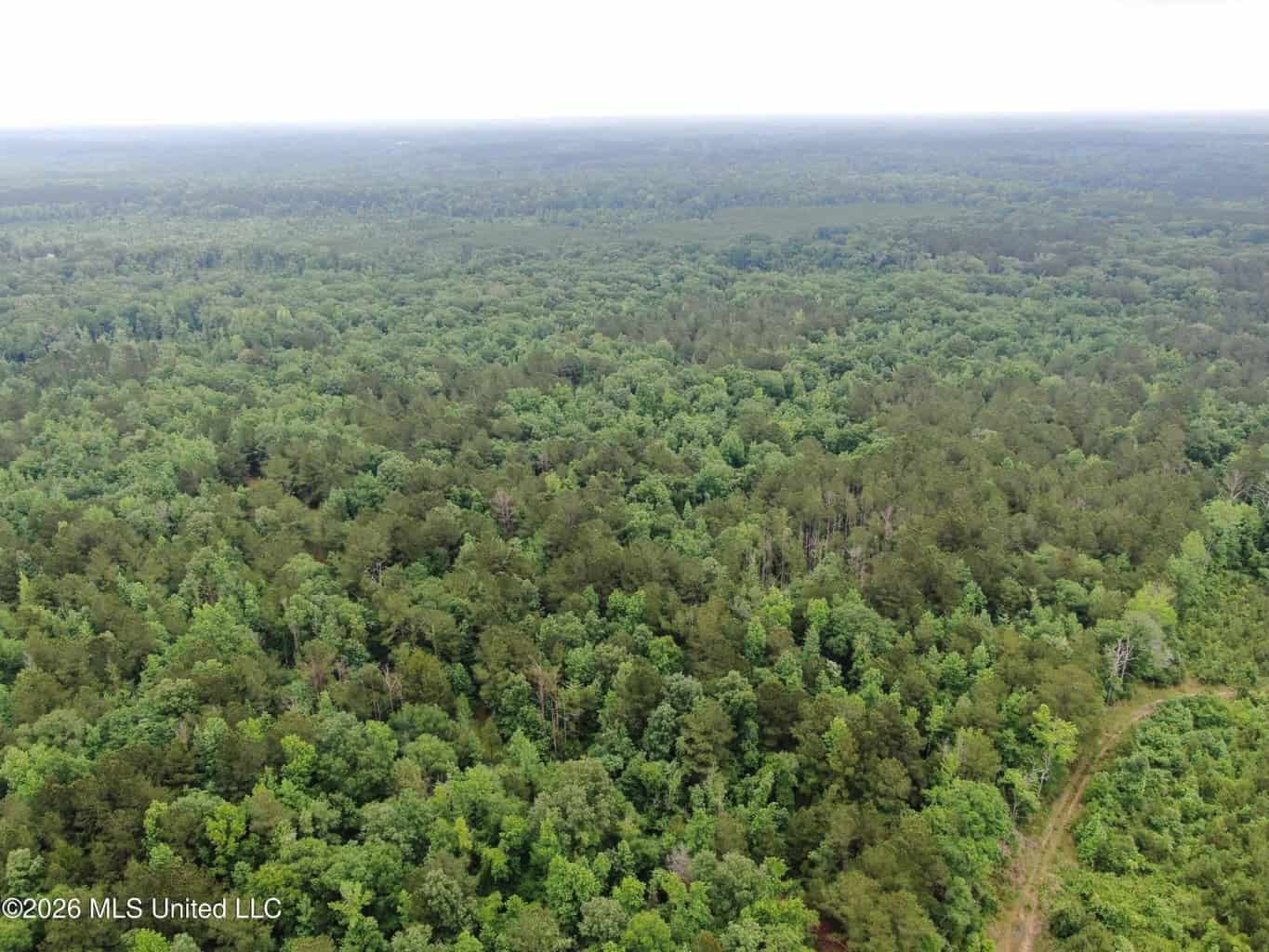 Hunting and Recreational Land for Sale in Amite County, Miss