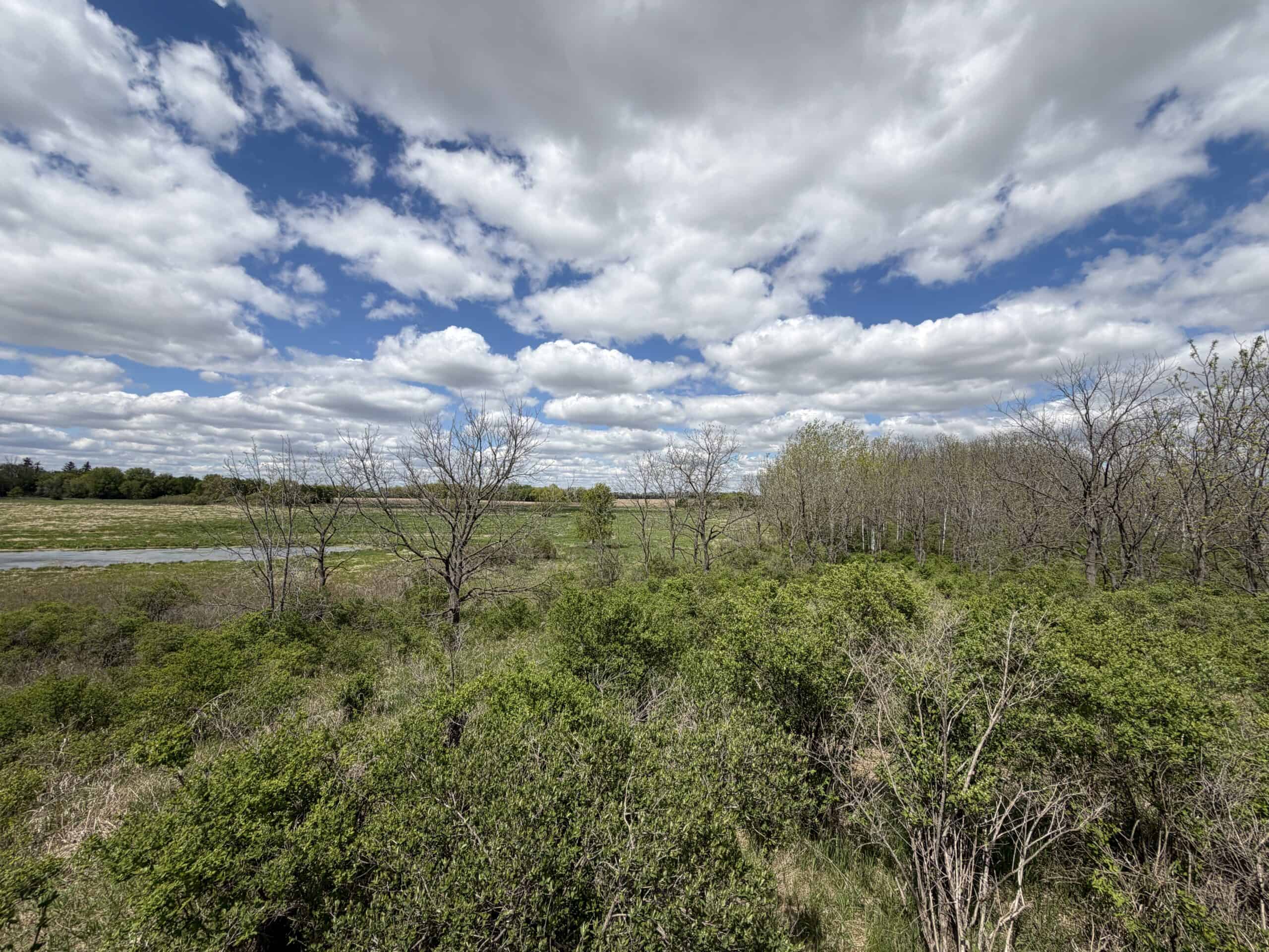 74 Acres in Dane County Town of York Rec, Hunting and Build Site for Sale