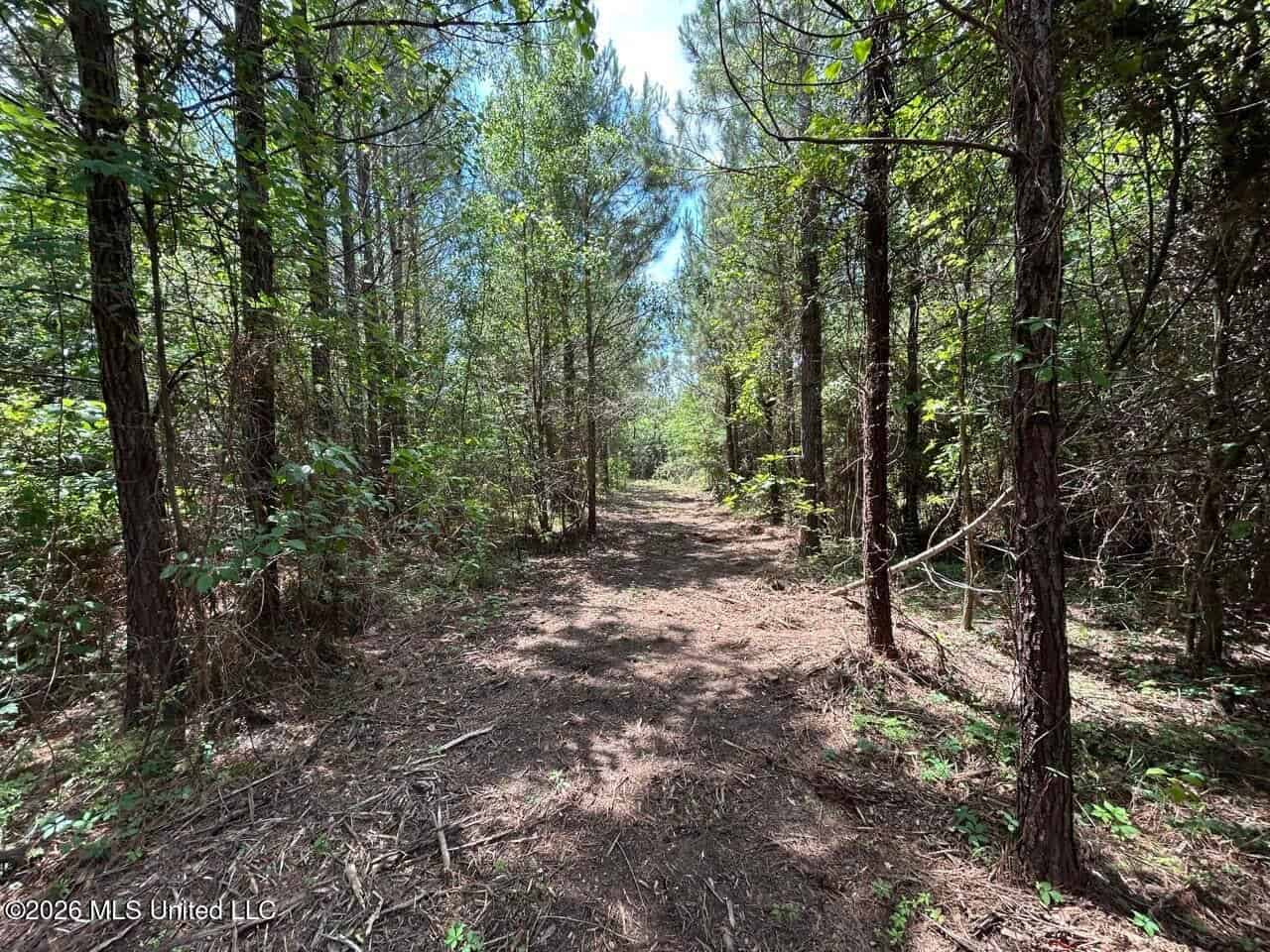 56 Acres in St. Helena Parish with Black Creek