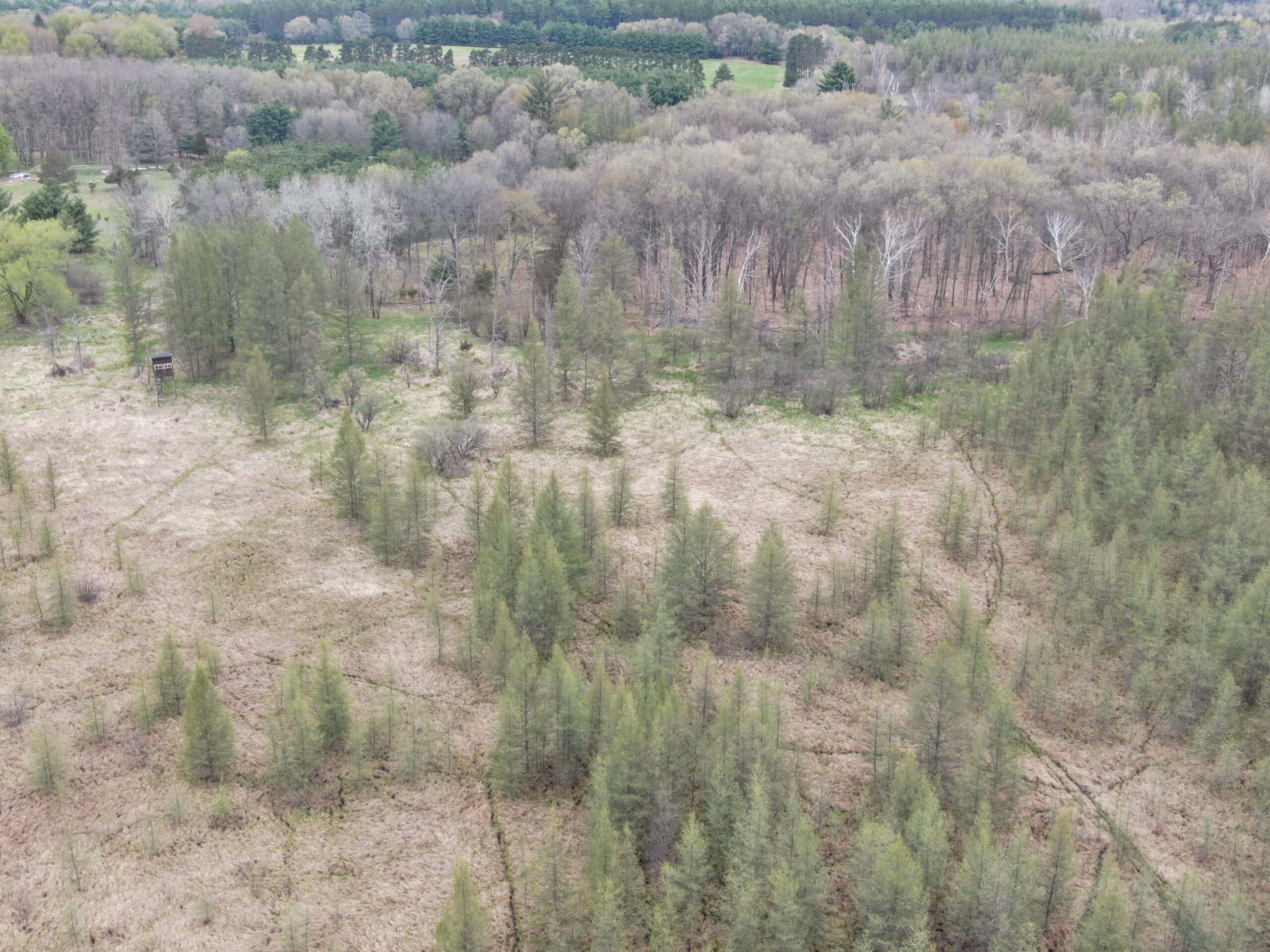 88 Acre Marquette County  WI Hunting Property For Sale