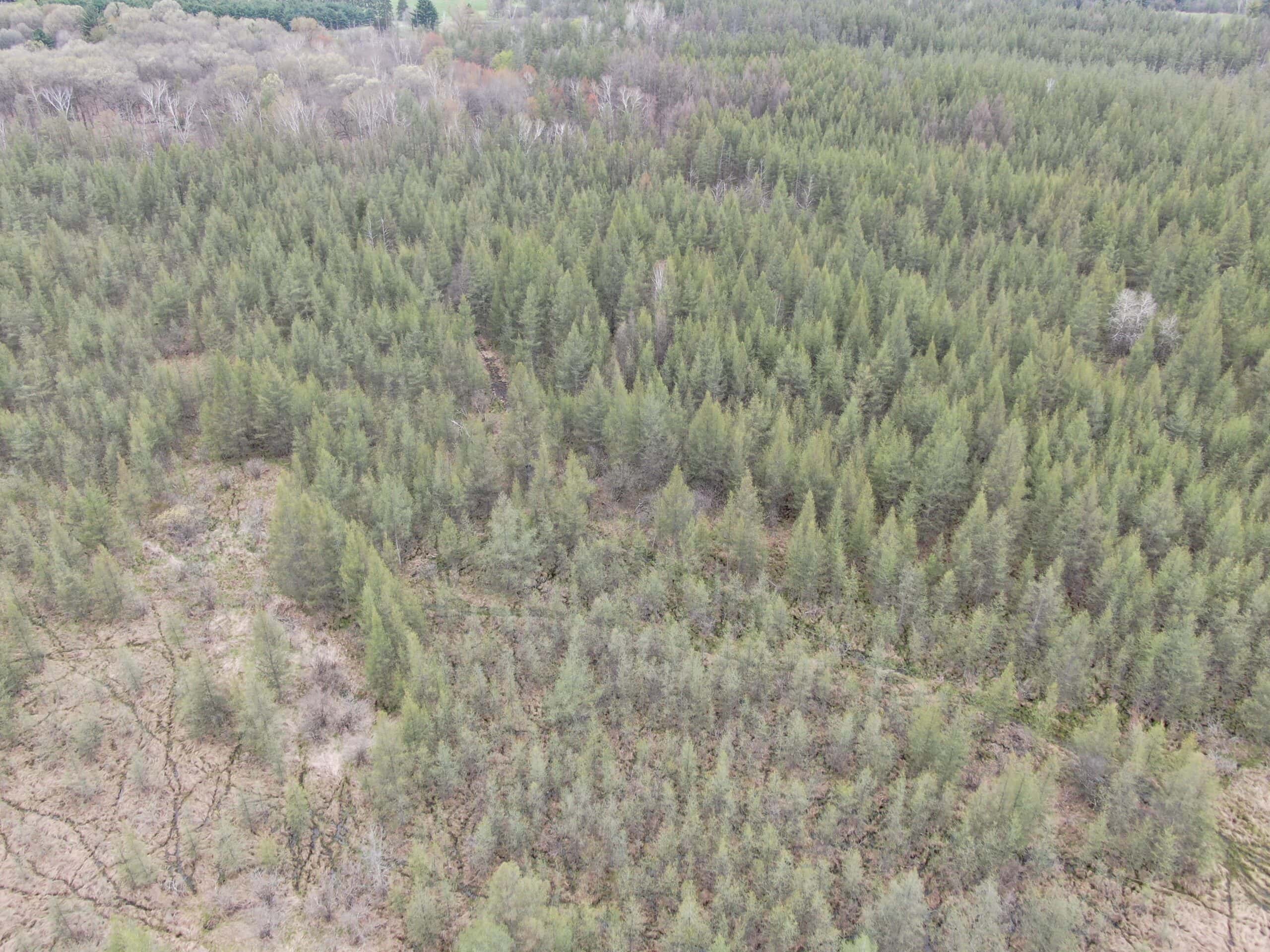 88 Acre Marquette County  WI Hunting Property For Sale
